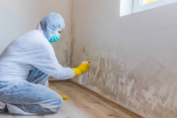 Licensed Commercial Mold Remediation service in Hazlet, NJ - WQB Mold Removal