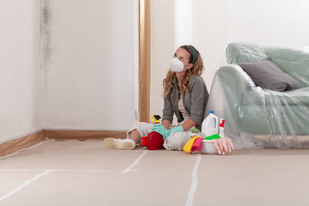 Reliable Commercial Mold Remediation contractor in Hazlet, NJ by WQB Mold Removal